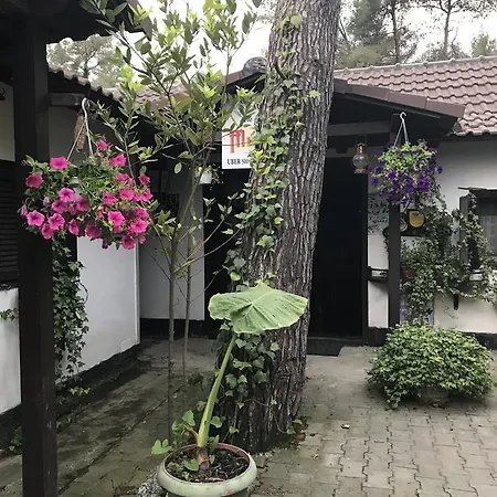 Viena Kompleks Guest house *