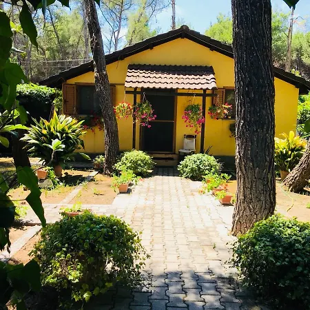 Guest house Viena Kompleks