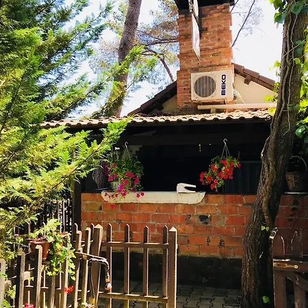 Viena Kompleks Guest house Golem (Tirana)