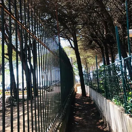 Viena Kompleks Golem (Tirana)